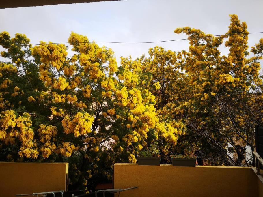 Appartement Proche Mer Avec Terrasse Et Jardin Privatif Hyères Exterior foto