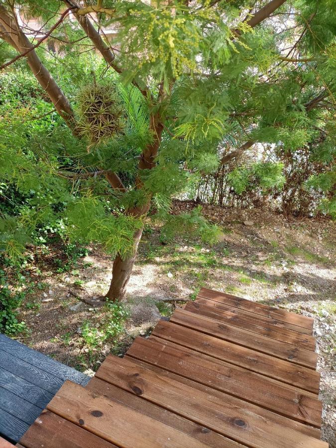 Appartement Proche Mer Avec Terrasse Et Jardin Privatif Hyères Exterior foto